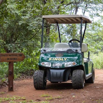 Kingly Golf Cart