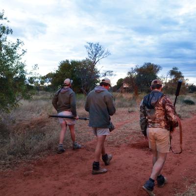 Rdbsafaris 3