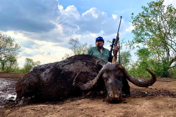 Buffalo Package