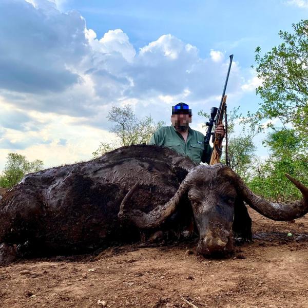 Buffalo Package