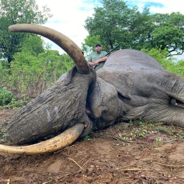 Elephant Hunt Package 